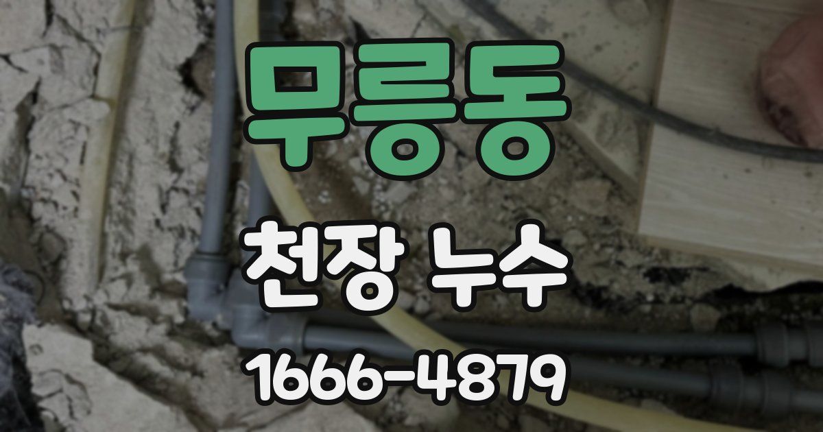 무릉동 천장 누수