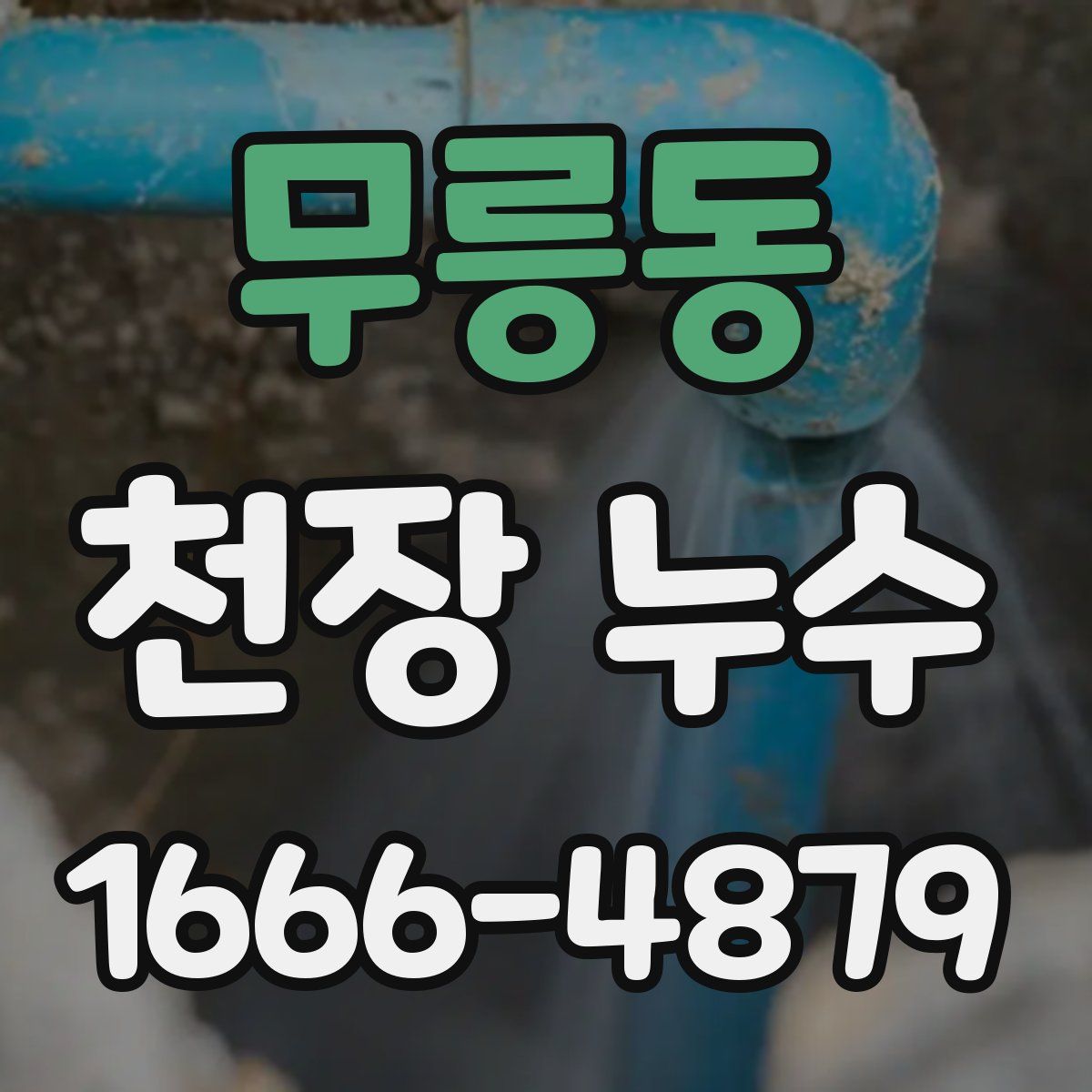 무릉동 천장 누수