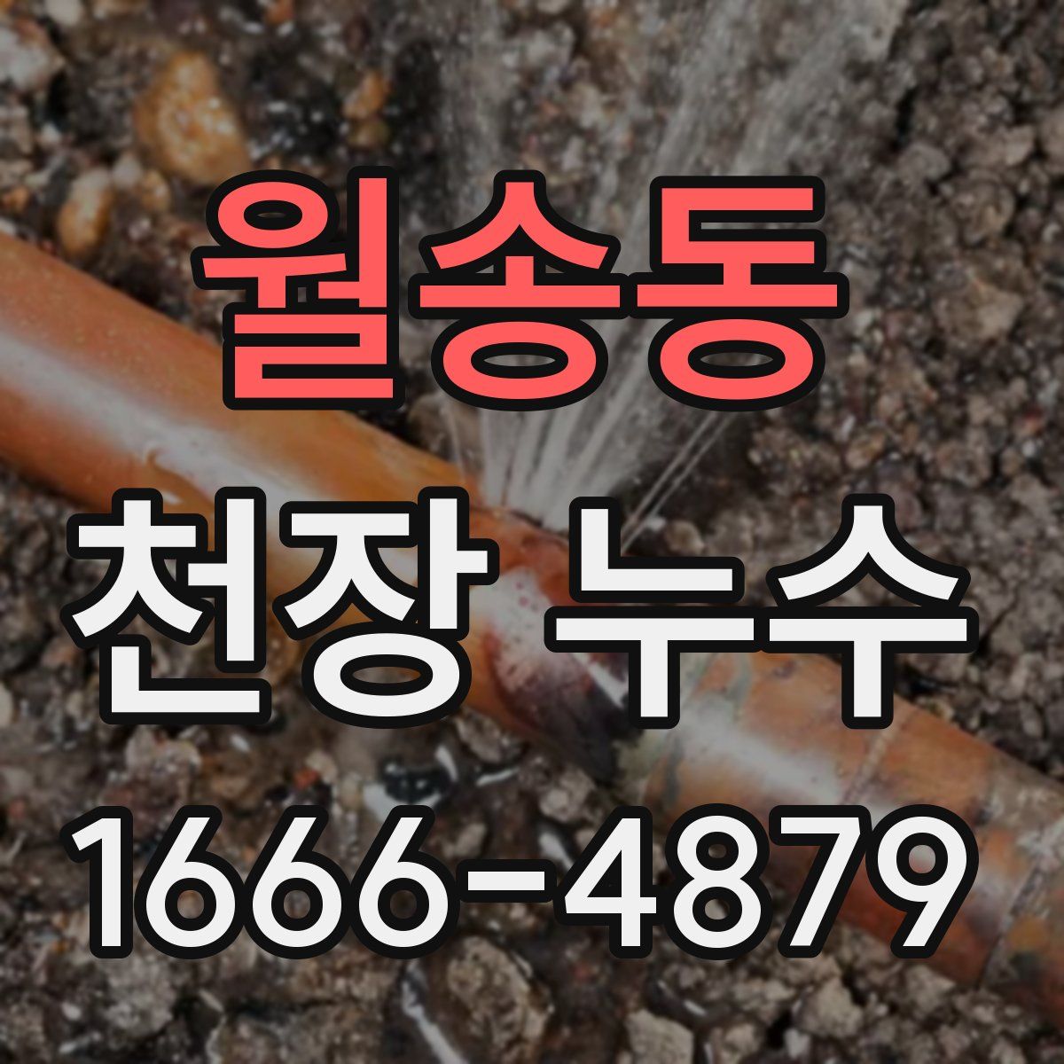 월송동 천장 누수