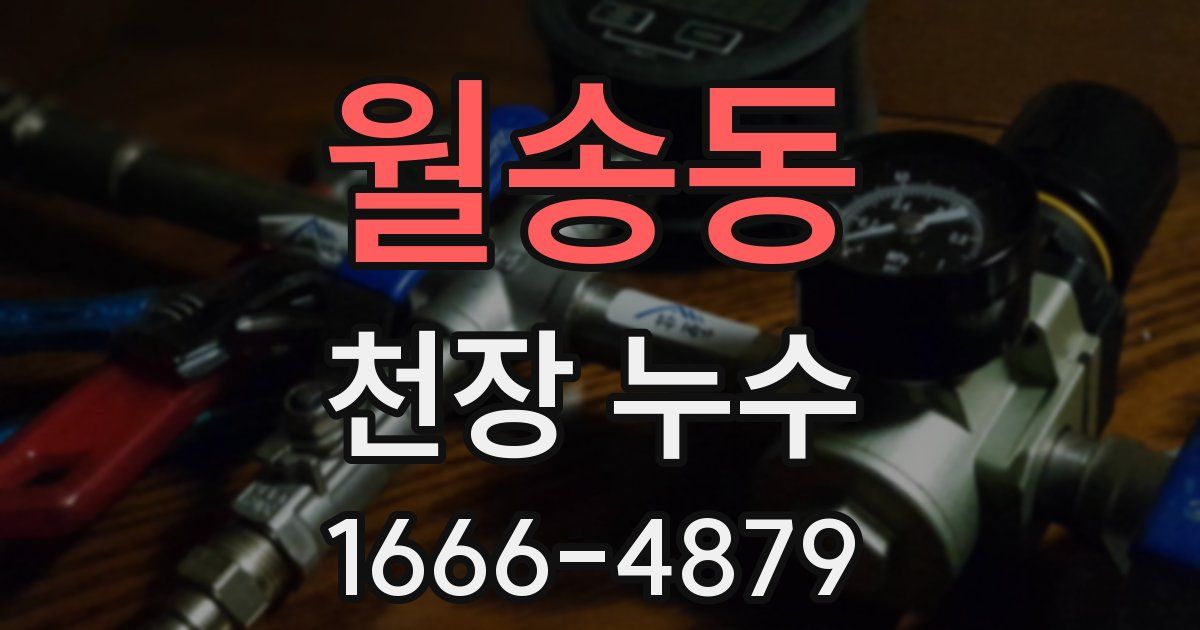 월송동 천장 누수