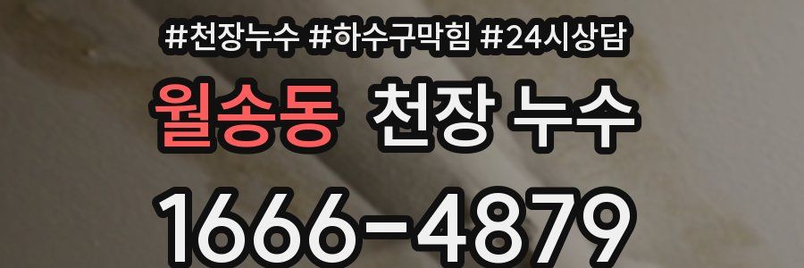 월송동 천장 누수