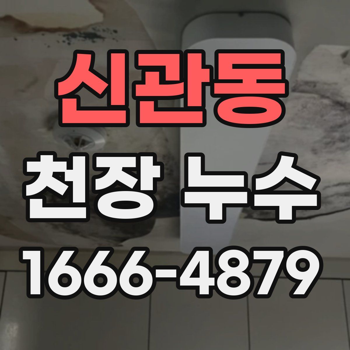 신관동 천장 누수