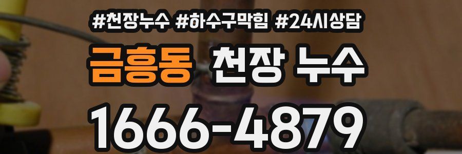 금흥동 천장 누수