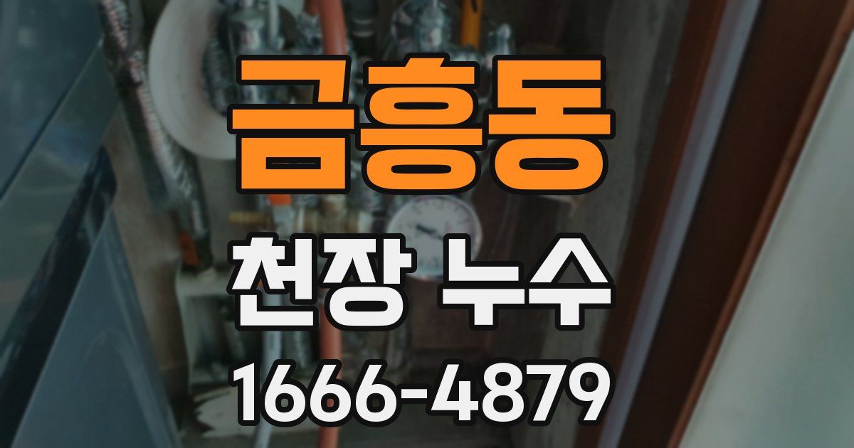 금흥동 천장 누수