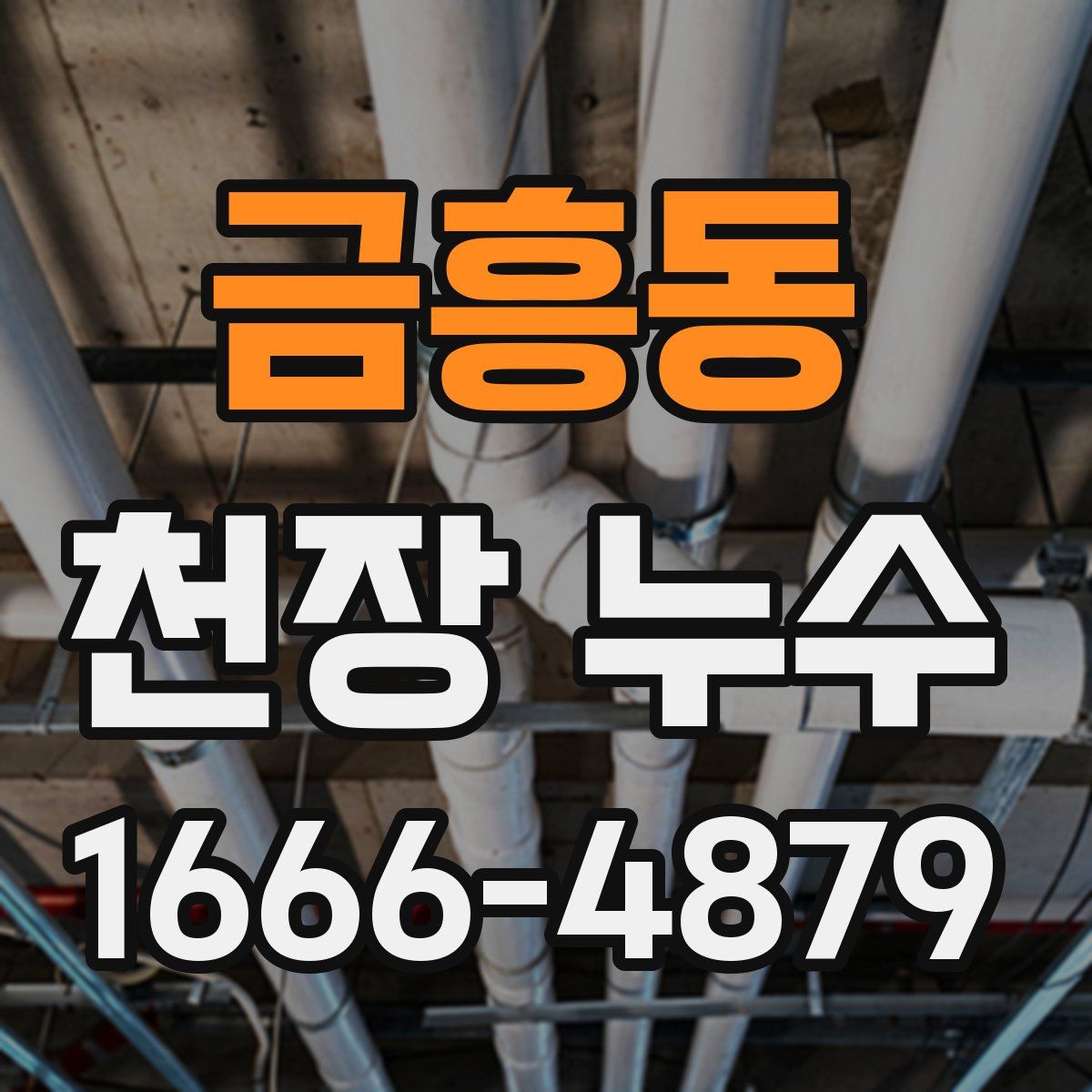 금흥동 천장 누수