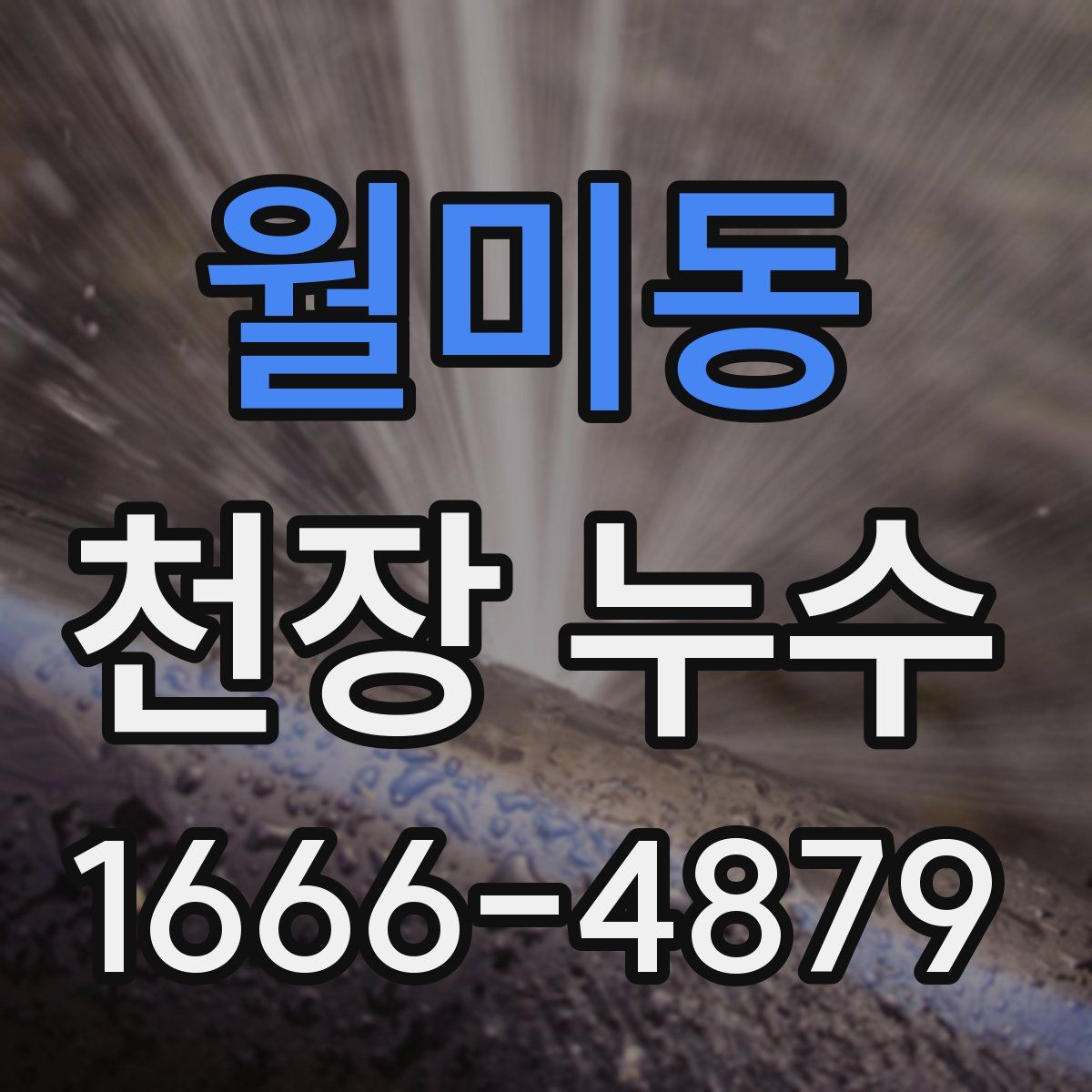 월미동 천장 누수