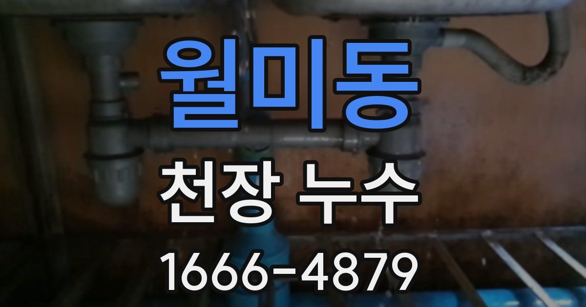 월미동 천장 누수