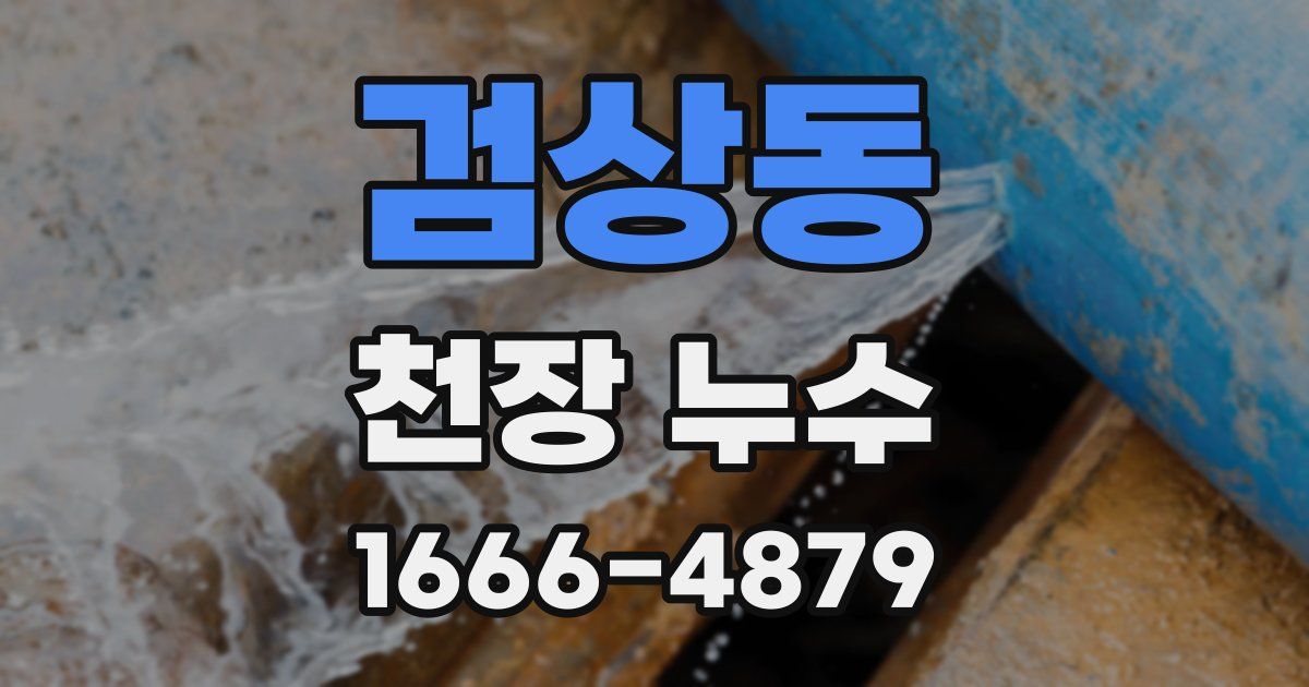 검상동 천장 누수