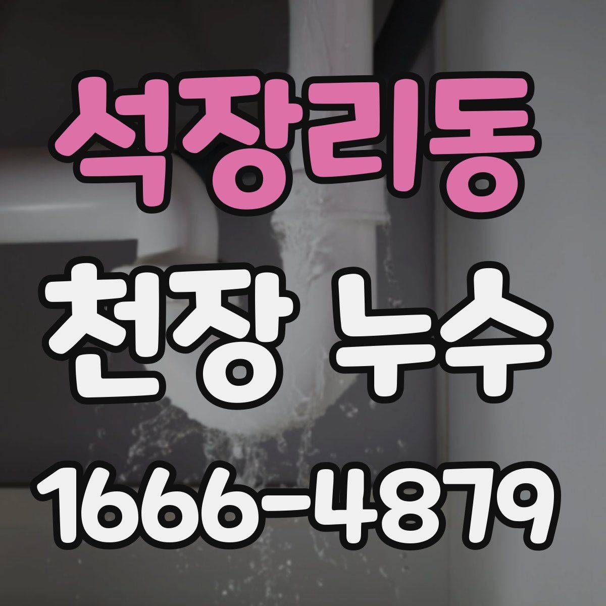 석장리동 천장 누수