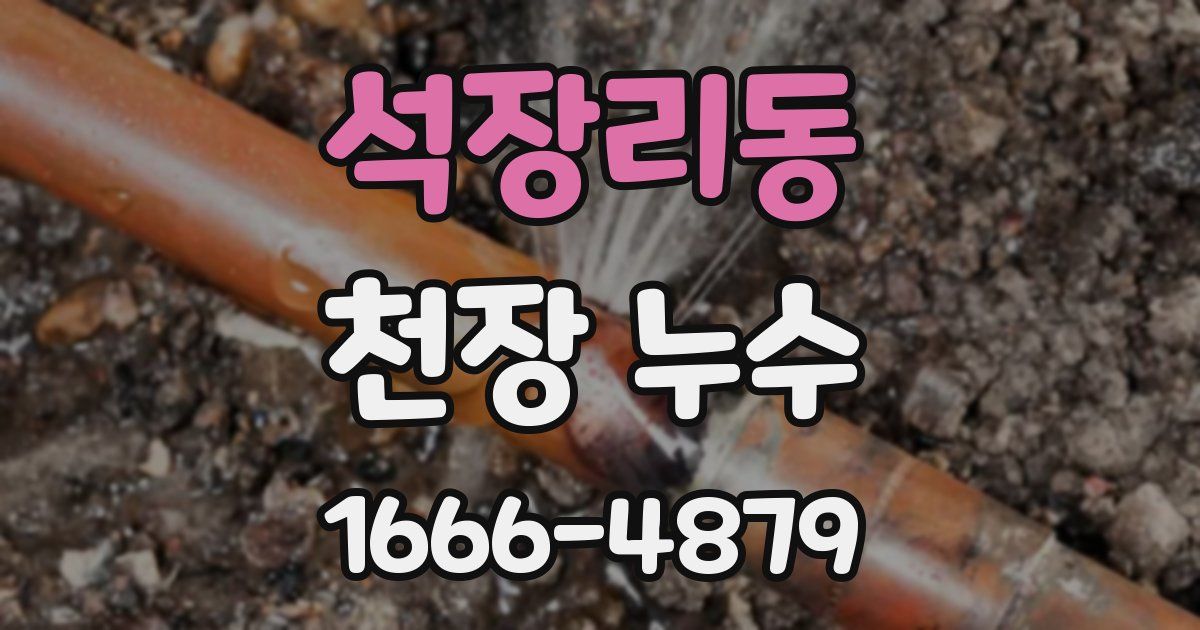 석장리동 천장 누수