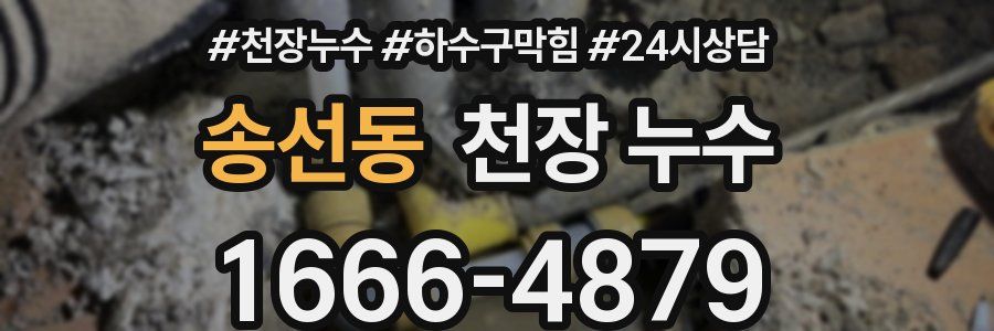 송선동 천장 누수