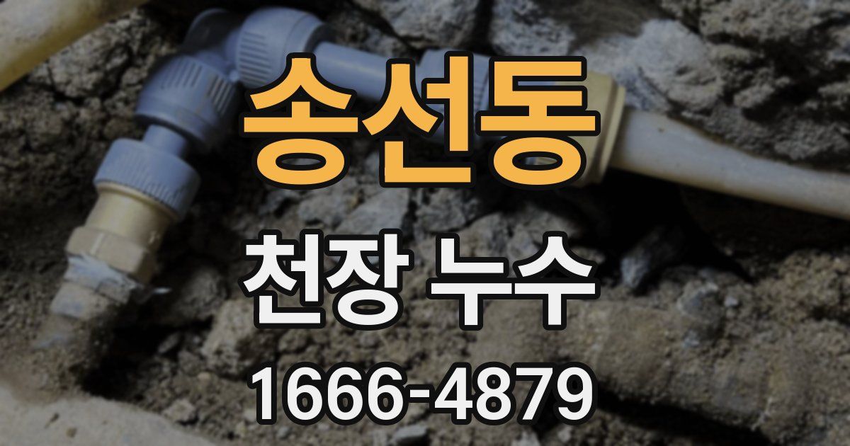 송선동 천장 누수