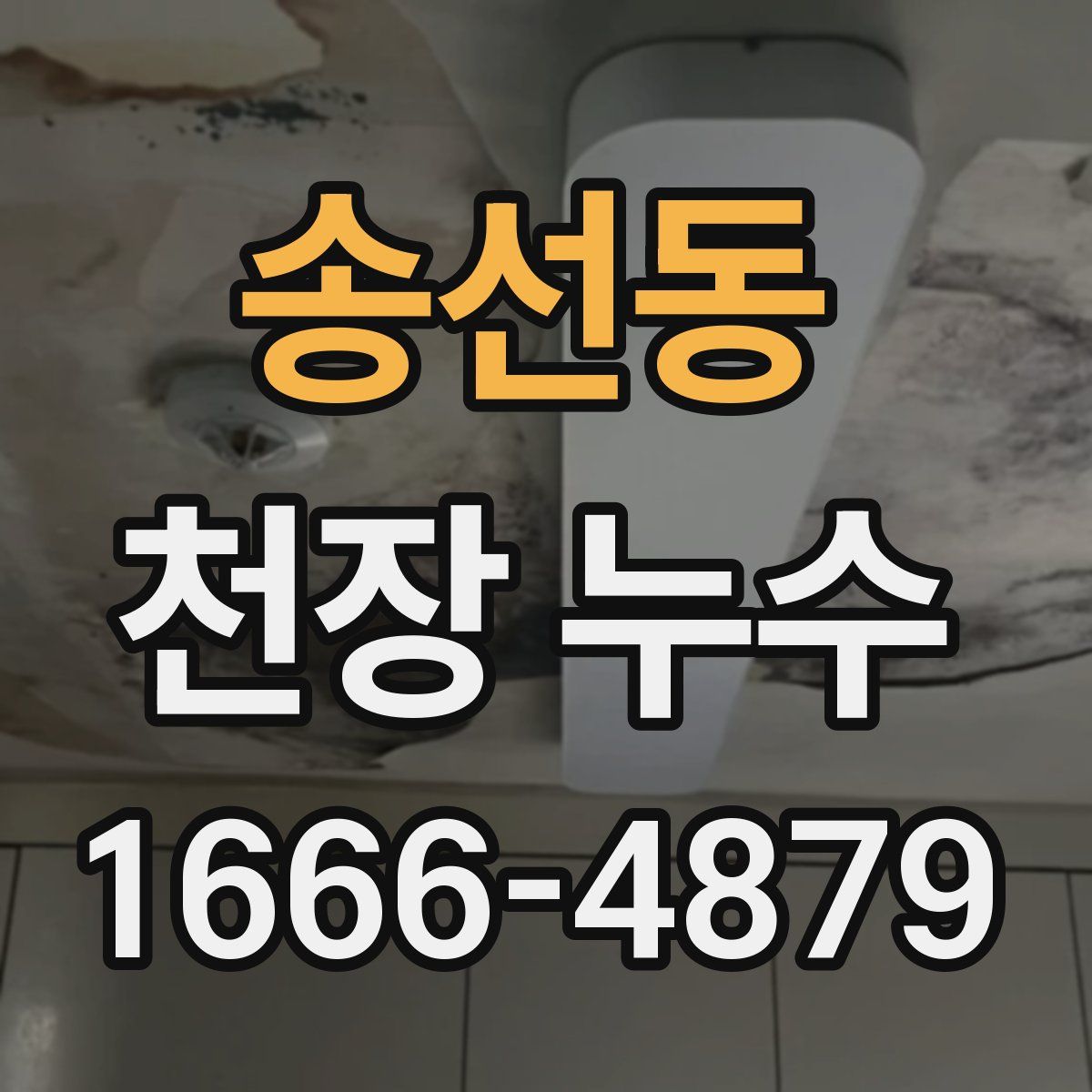 송선동 천장 누수