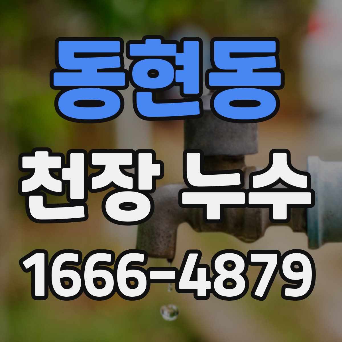 동현동 천장 누수