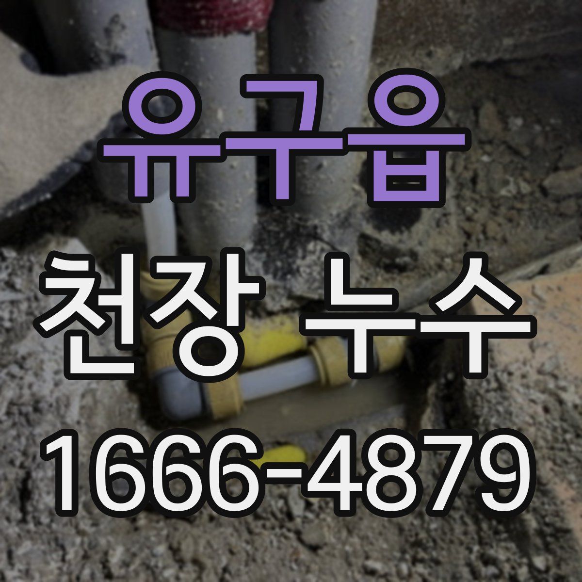 유구읍 천장 누수