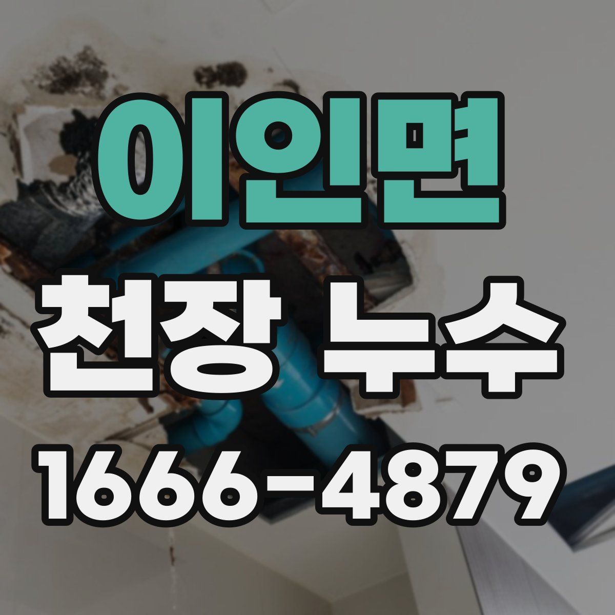 이인면 천장 누수