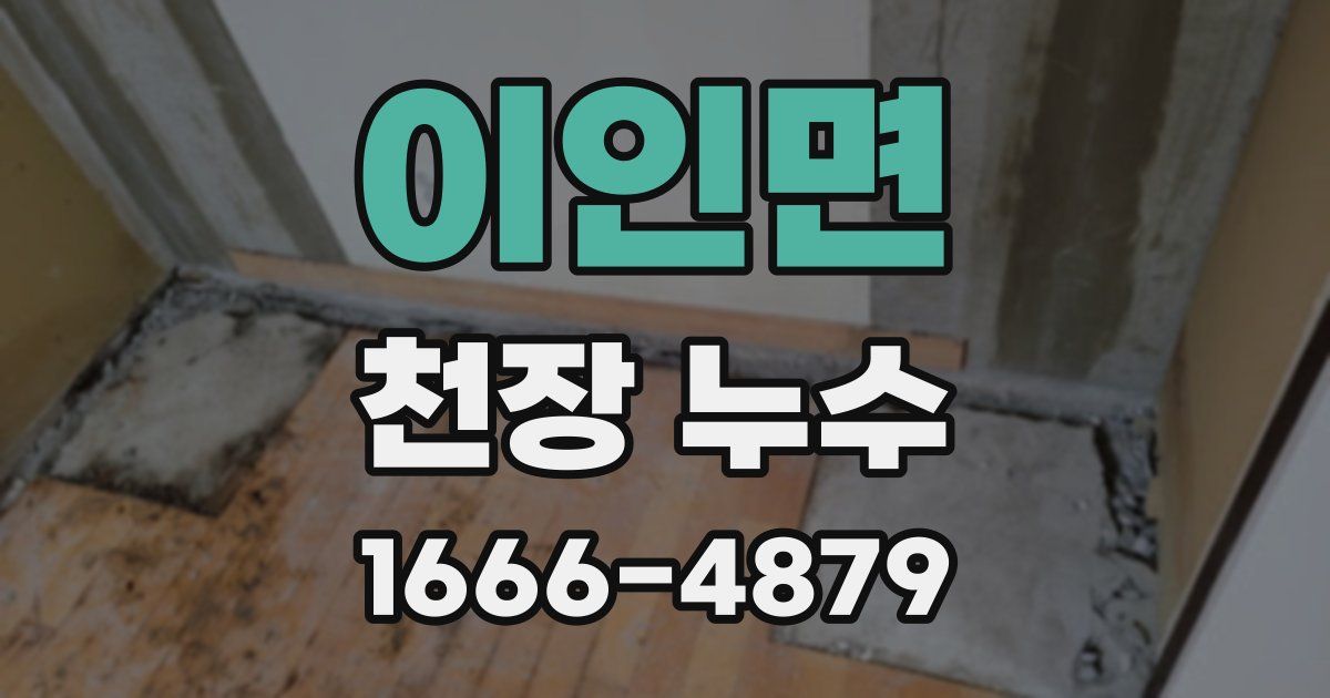 이인면 천장 누수