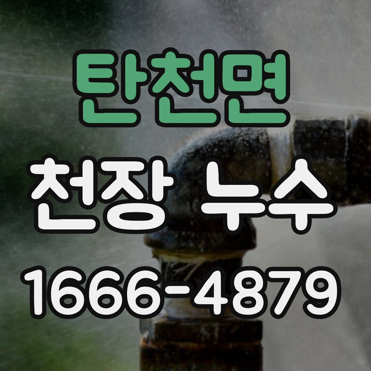 탄천면 천장 누수