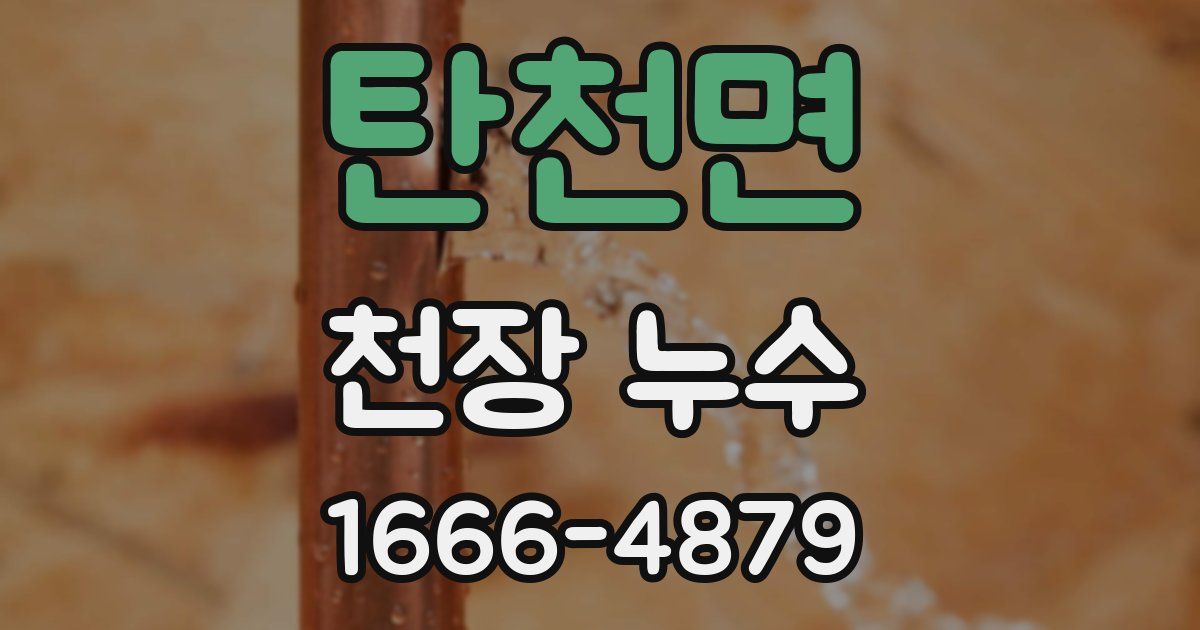 탄천면 천장 누수