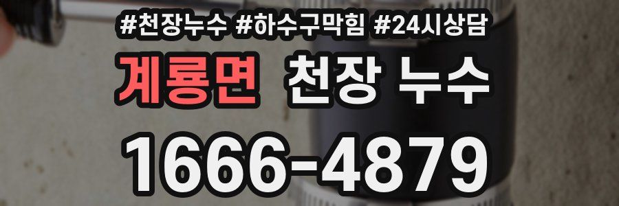 계룡면 천장 누수