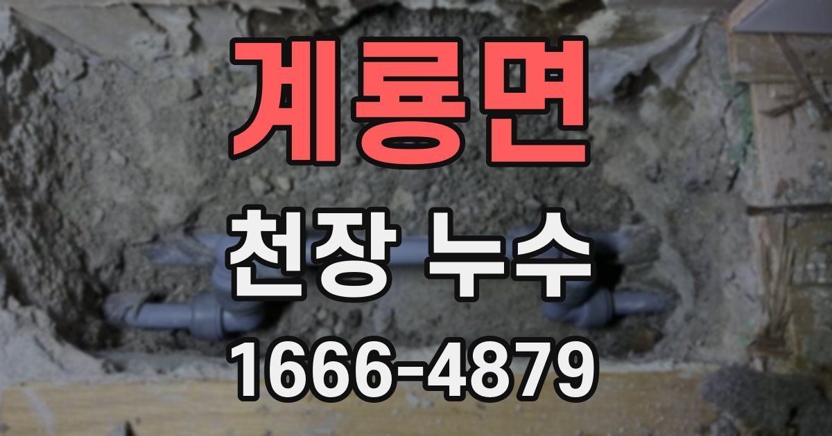 계룡면 천장 누수