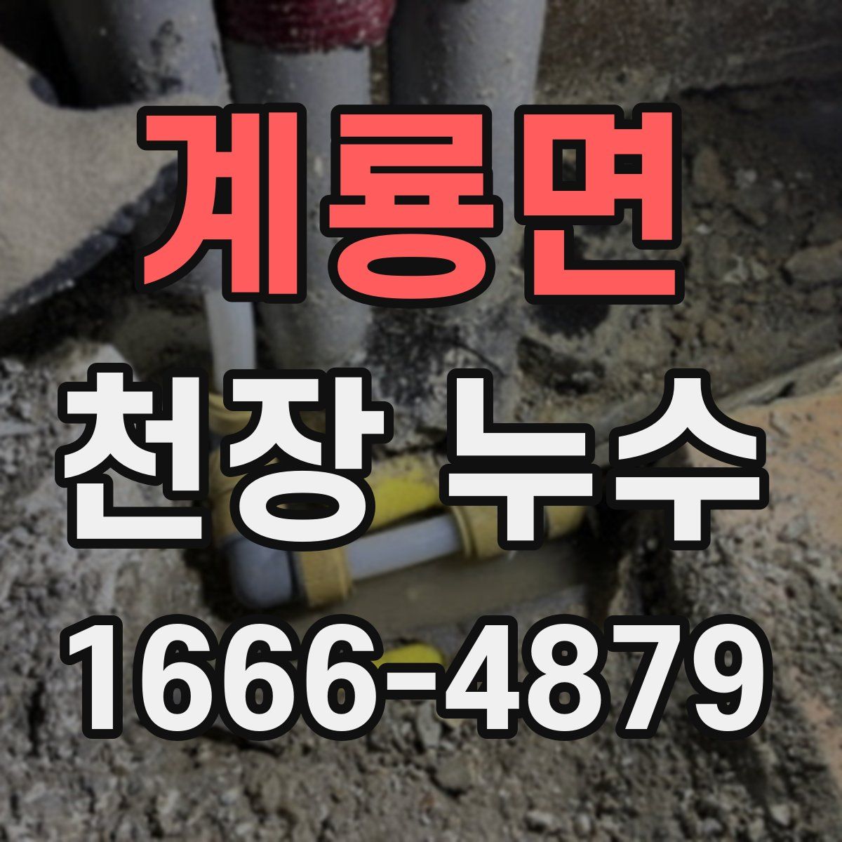 계룡면 천장 누수