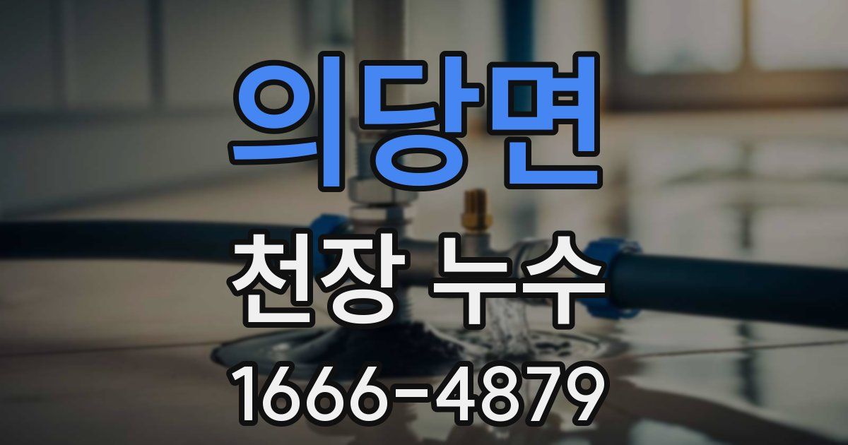 의당면 천장 누수