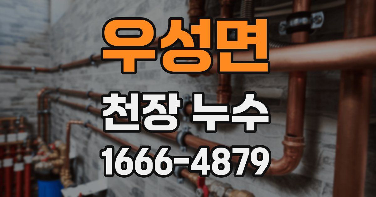 우성면 천장 누수