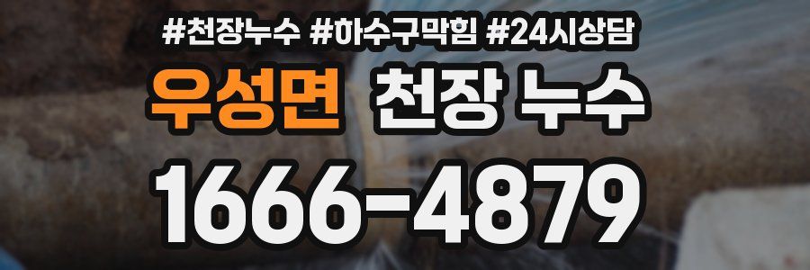 우성면 천장 누수