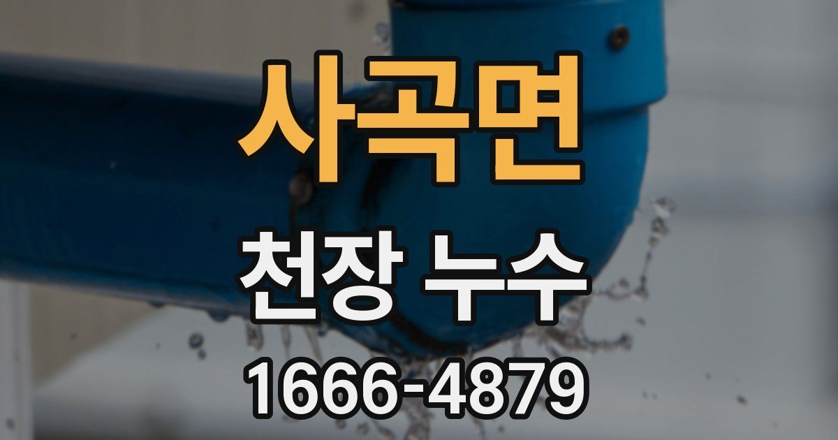 사곡면 천장 누수