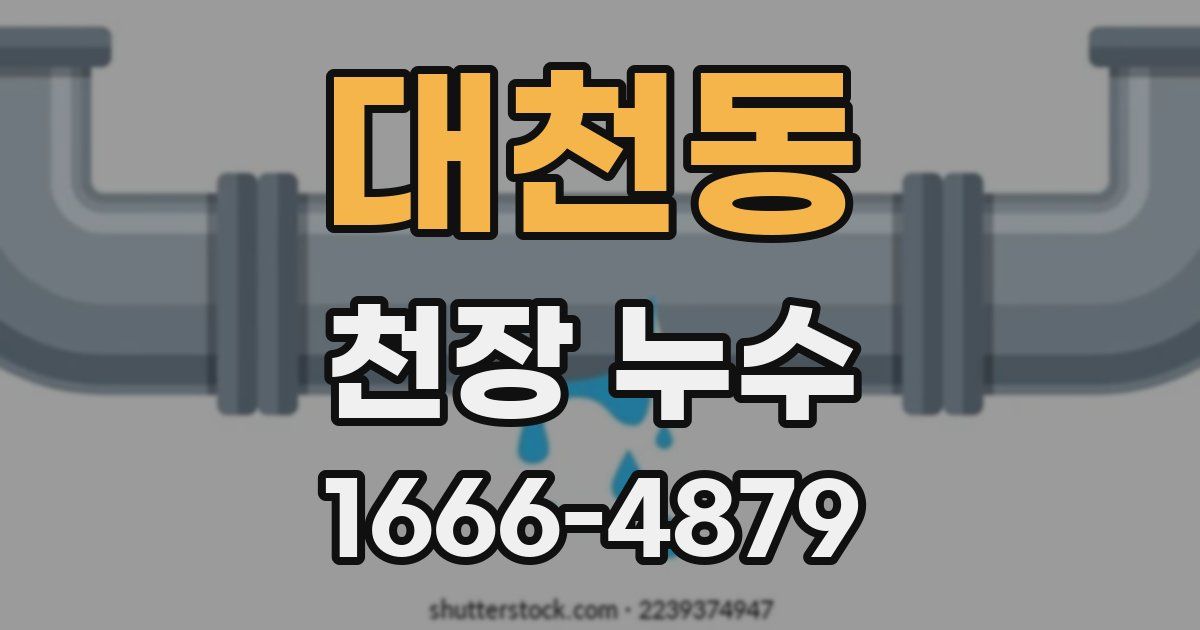 대천동 천장 누수