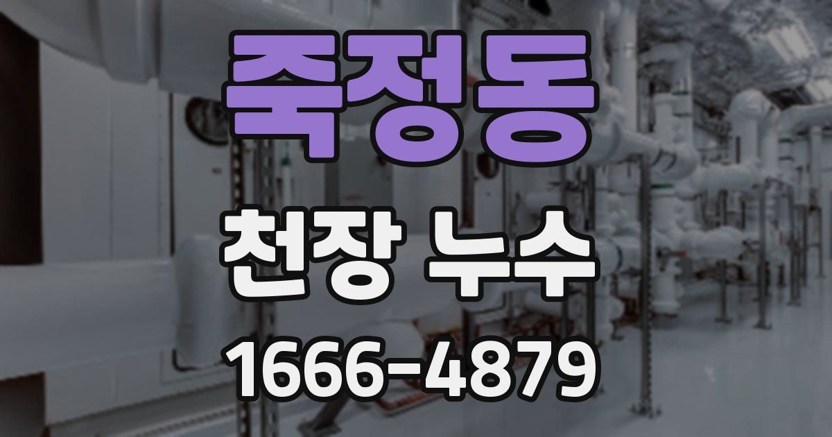 죽정동 천장 누수