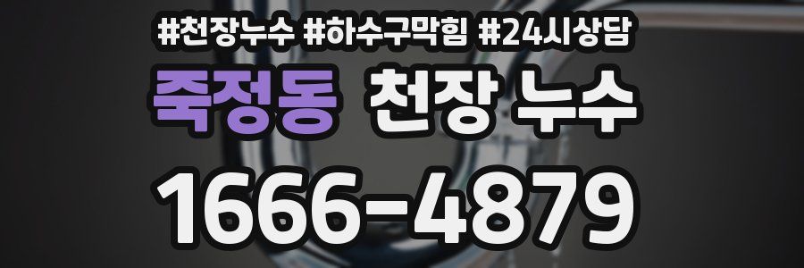 죽정동 천장 누수