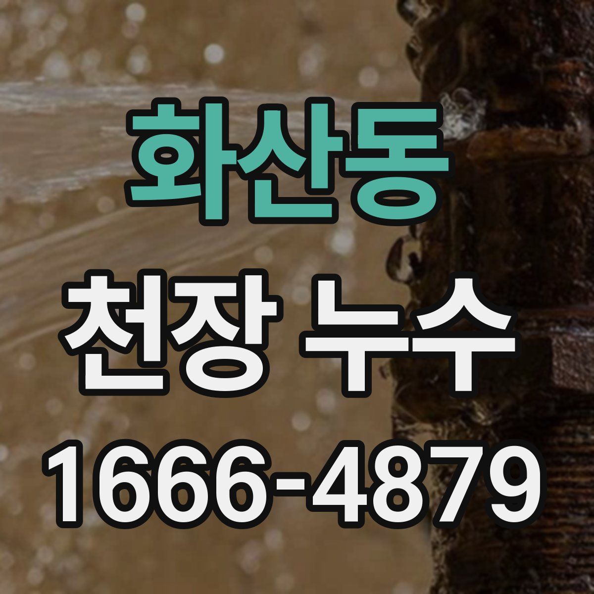 화산동 천장 누수