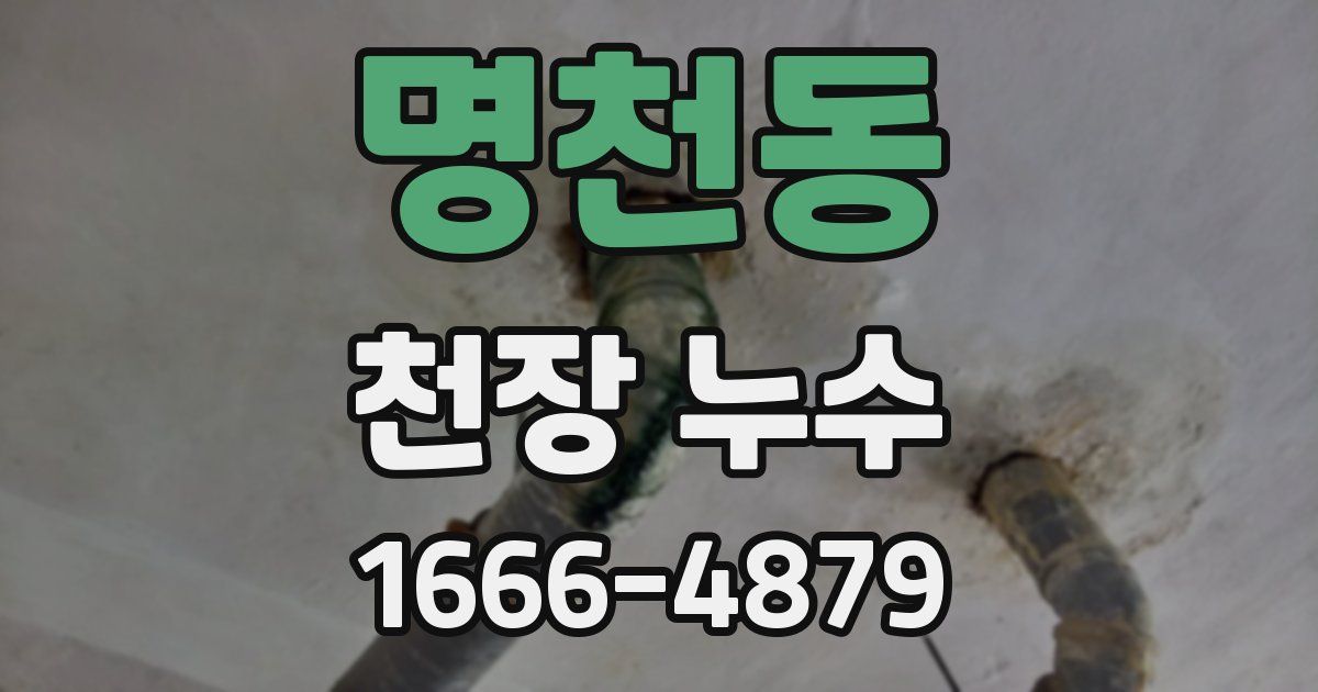 명천동 천장 누수