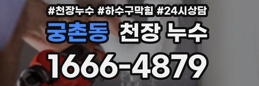 궁촌동 천장 누수