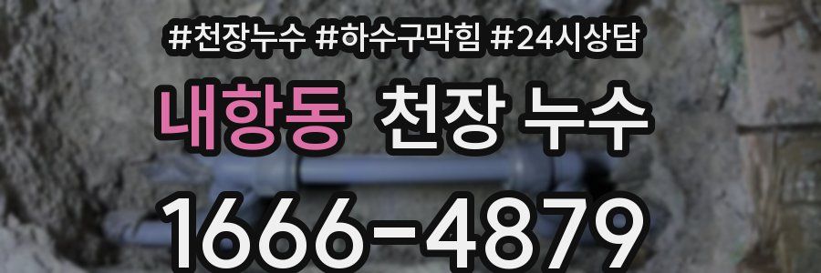 내항동 천장 누수