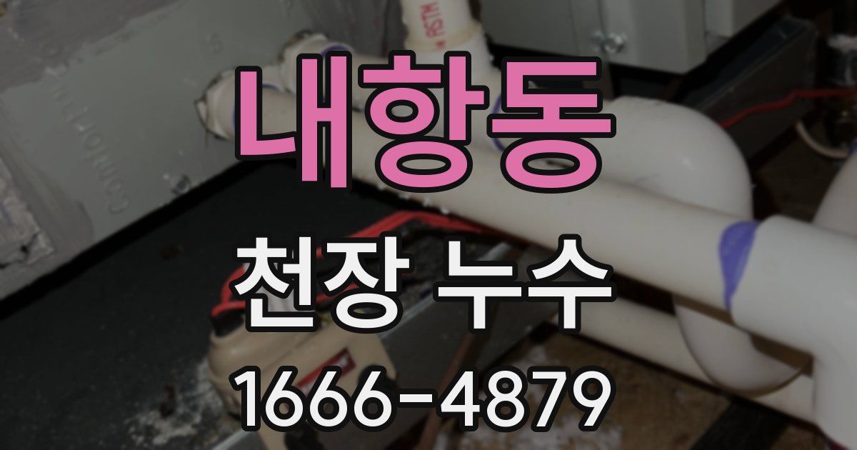 내항동 천장 누수