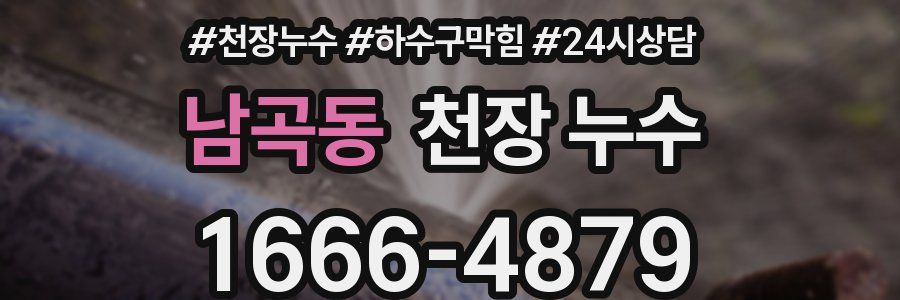 남곡동 천장 누수