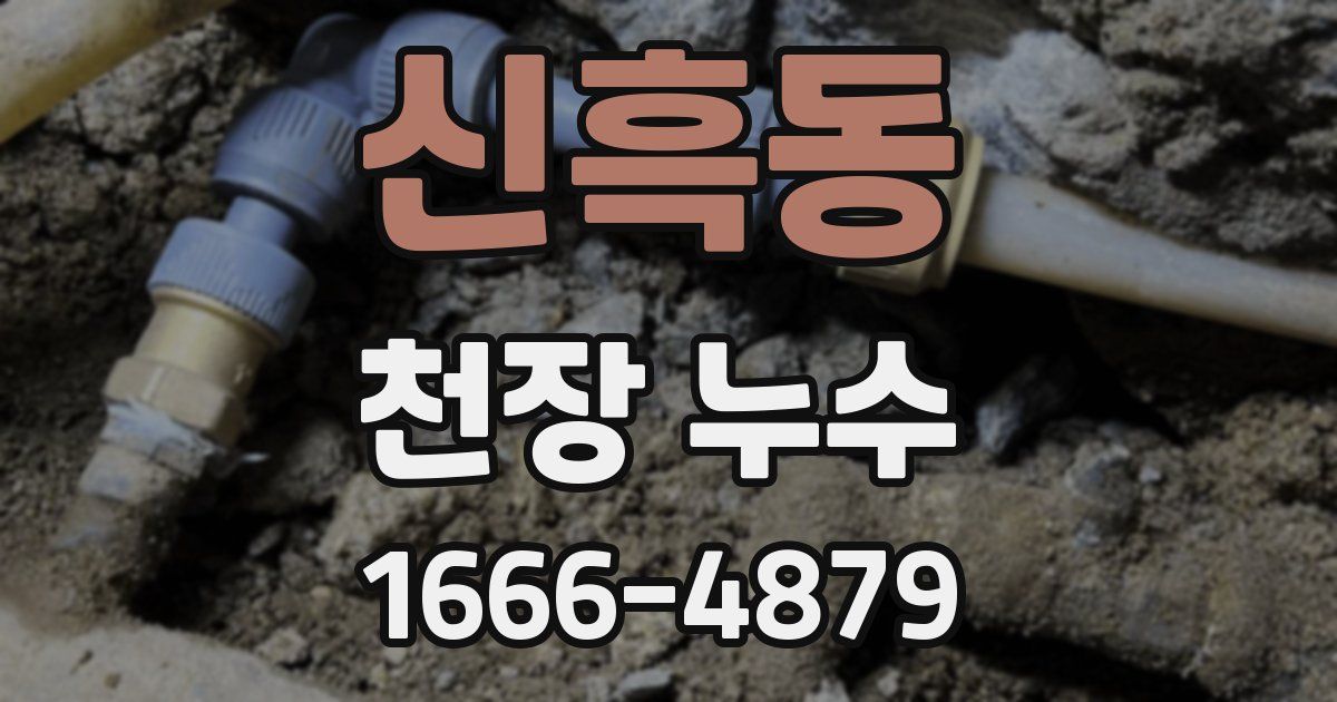 신흑동 천장 누수