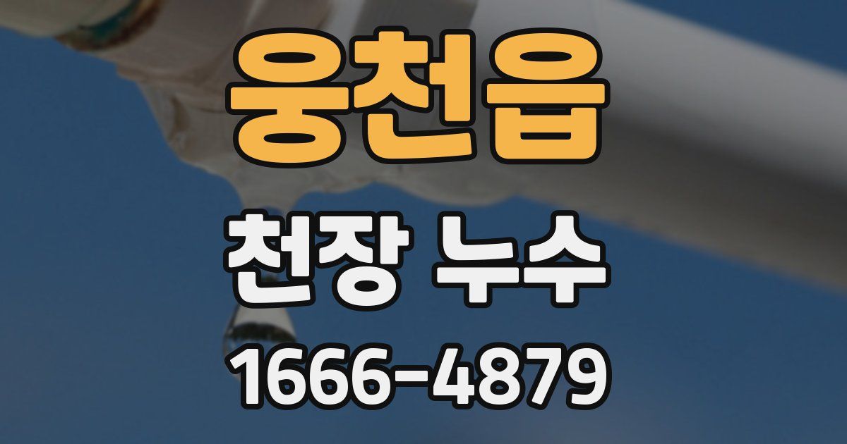 웅천읍 천장 누수