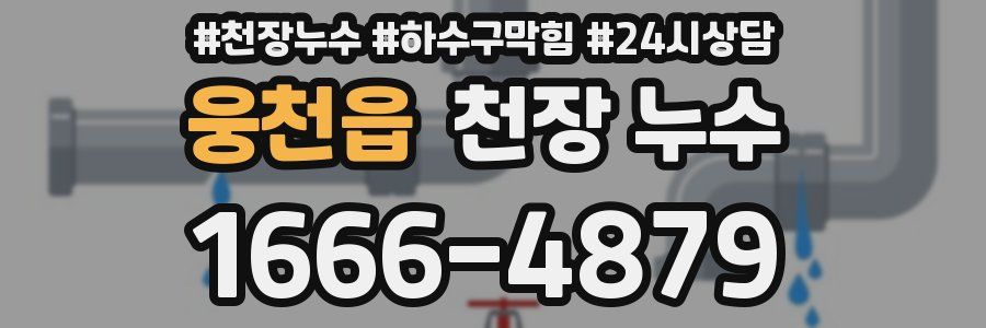웅천읍 천장 누수