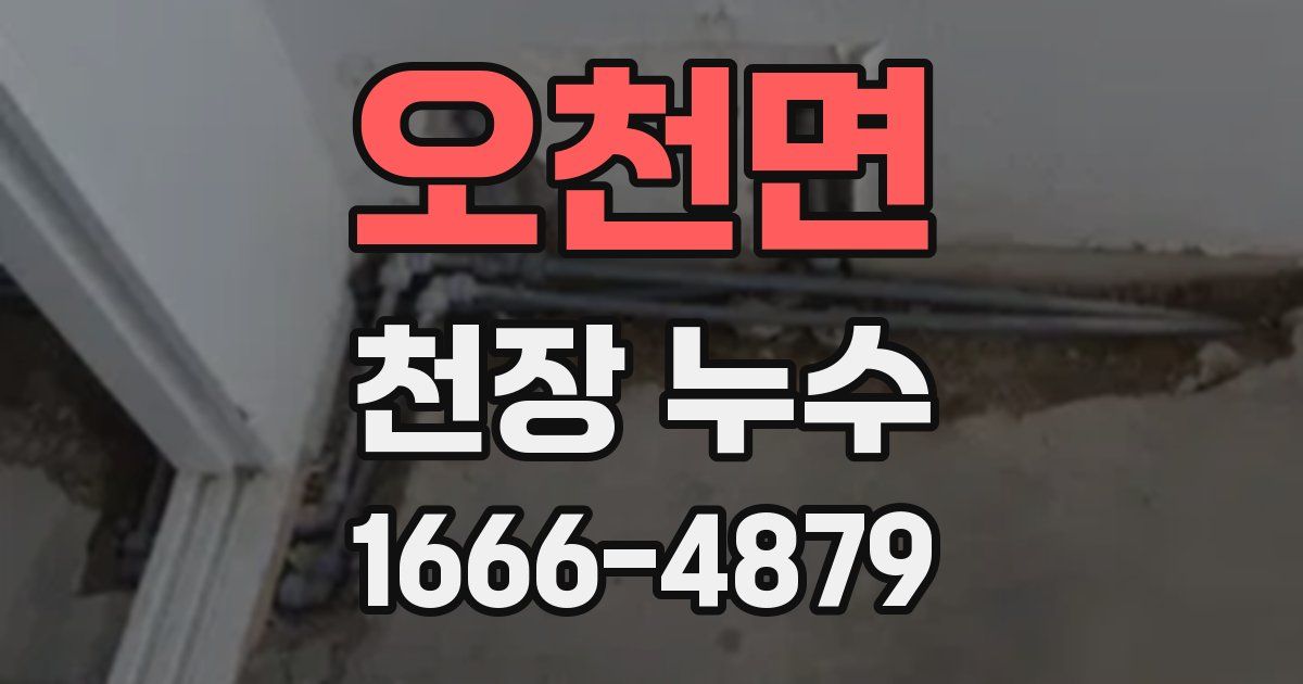 오천면 천장 누수