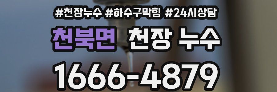 천북면 천장 누수