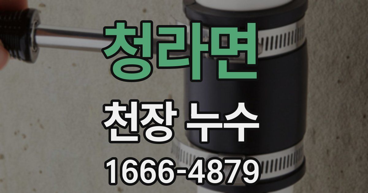 청라면 천장 누수