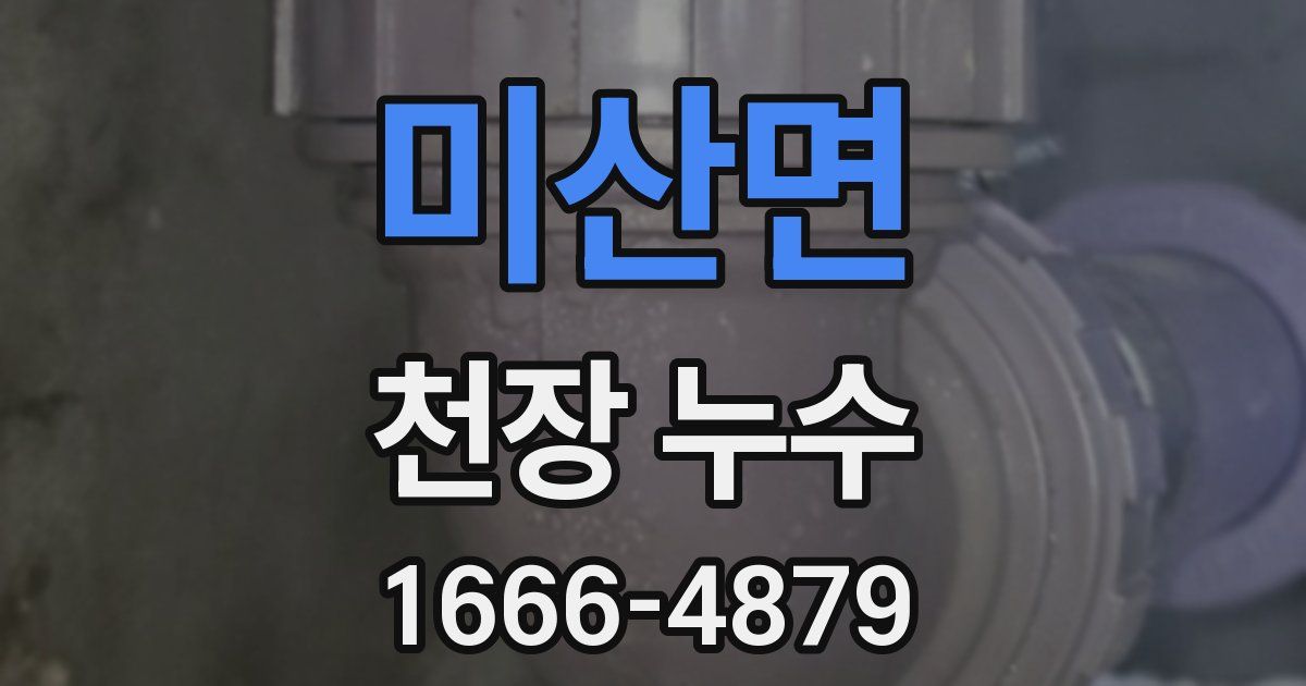 미산면 천장 누수