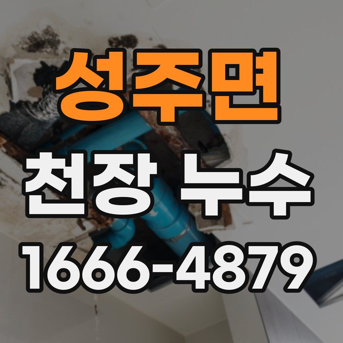 성주면 천장 누수