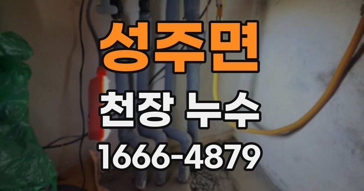 성주면 천장 누수