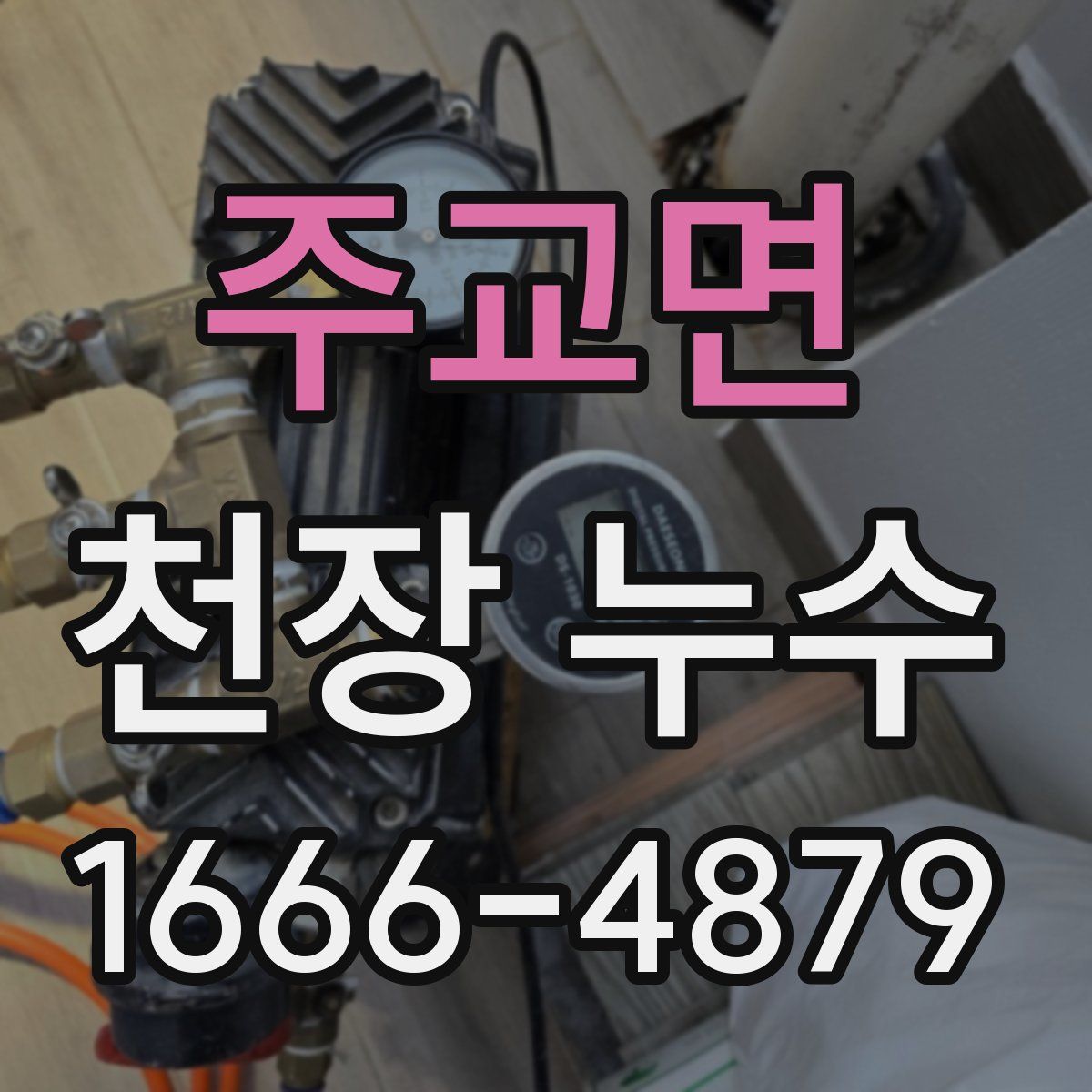 주교면 천장 누수