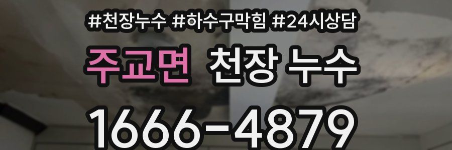 주교면 천장 누수